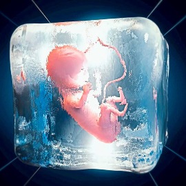 doctor-image